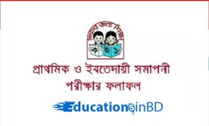প্রাথমিক শিক্ষা সমাপনী ও ইবতেদায়ী শিক্ষা সমাপনী পরীক্ষার ফলাফল ২০১৮
