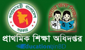 education dpe primary